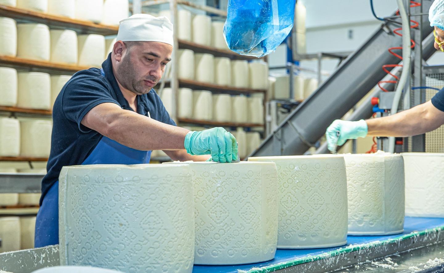 Latte, allarme delle aziende «Ora si rischia il blocco» 