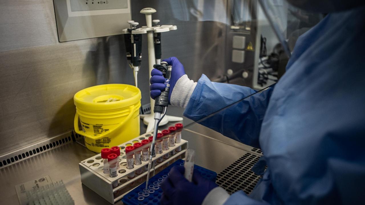 Coronavirus, altri cinque casi nelle scuole