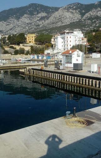 «Porto e concessioni, solo modifiche ragionate» 