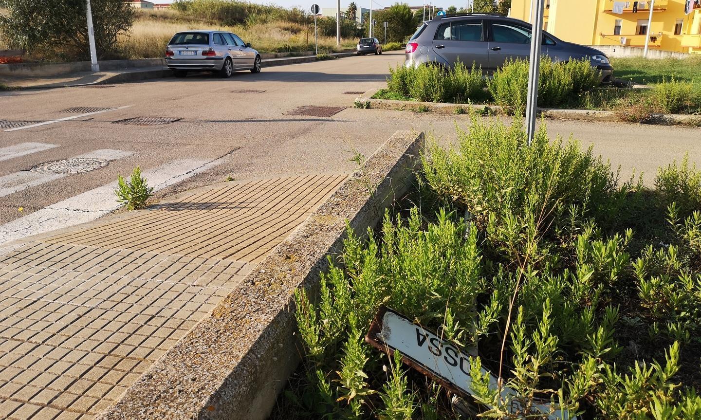 Un cartello stradale tra le erbacce 