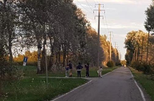 Aumentano le zone di caccia protesta e petizione dei cittadini 