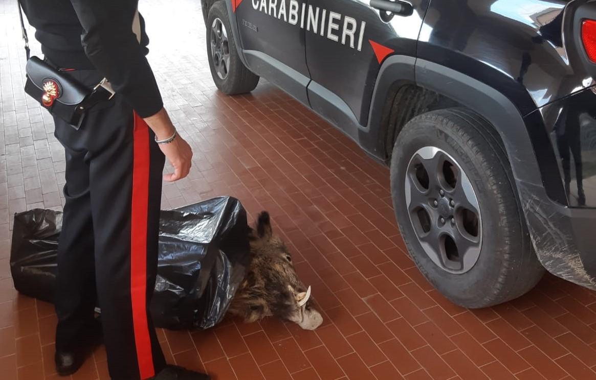 Vanno a caccia in un giorno vietato, denunciati zio e nipote