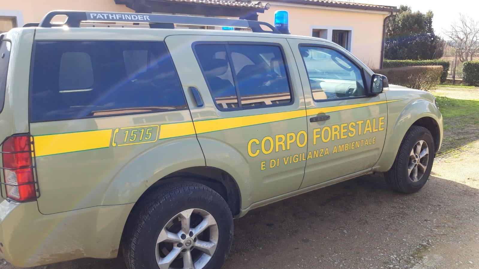 Moria di pesci in un lago a Tratalias, indagini degli agenti forestali