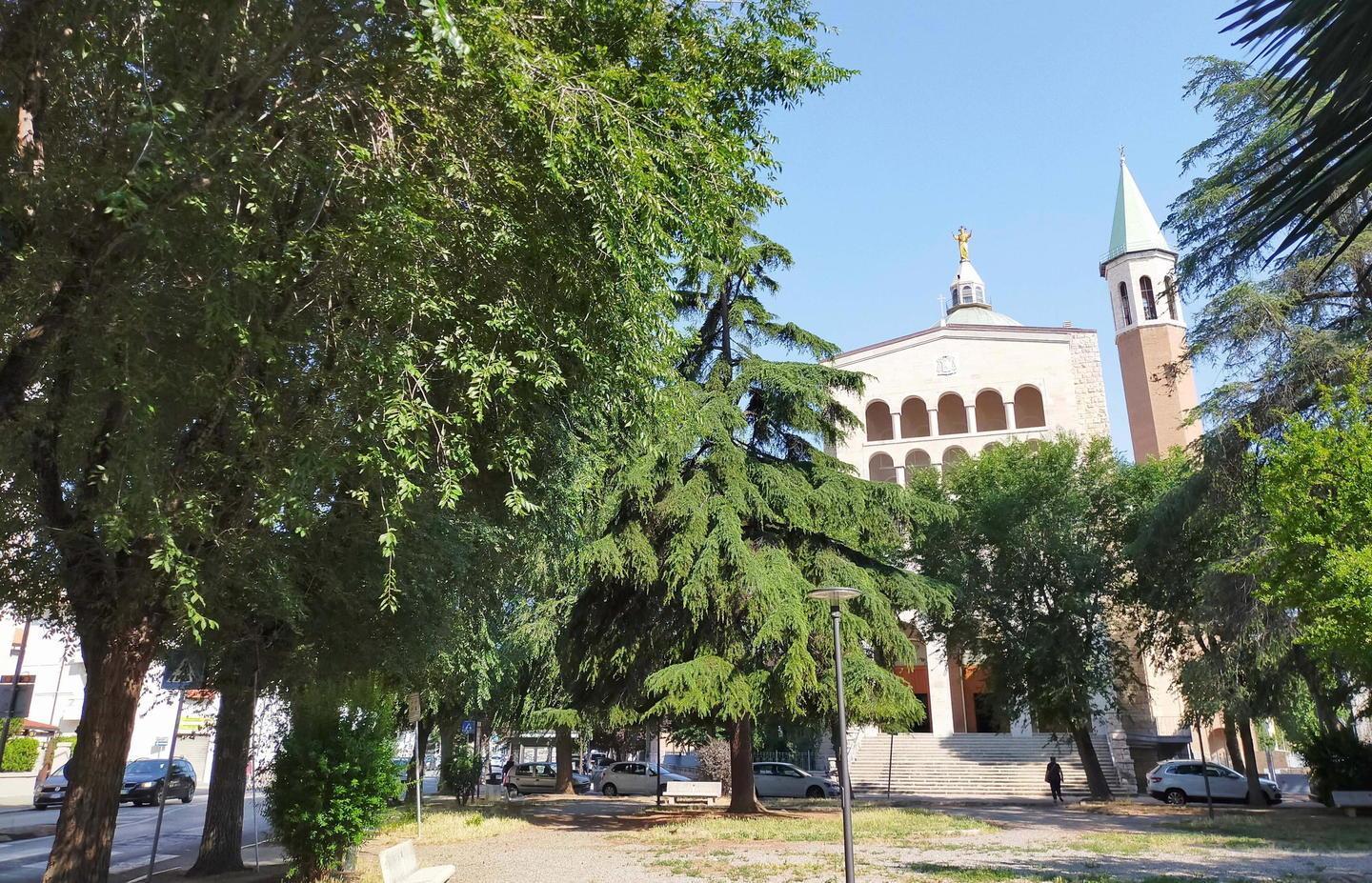 Olmi del Sacro Cuore In 1.600 dicono no al taglio 