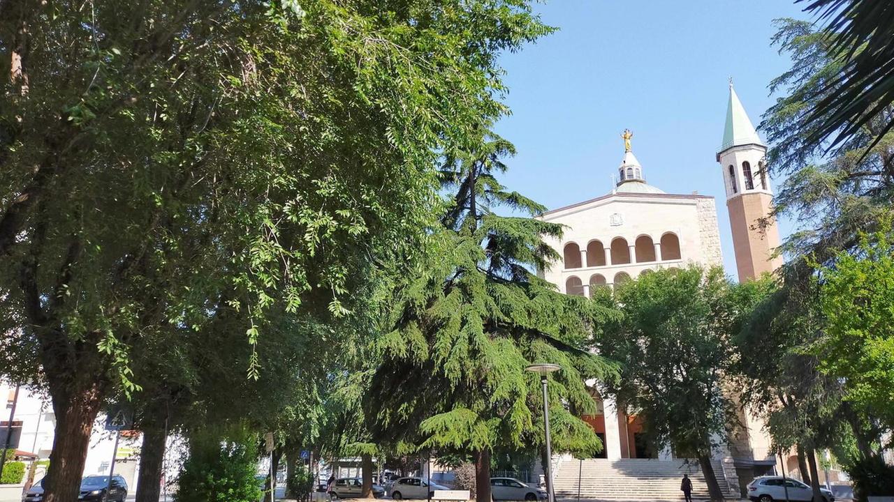 Olmi del Sacro Cuore In 1.600 dicono no al taglio