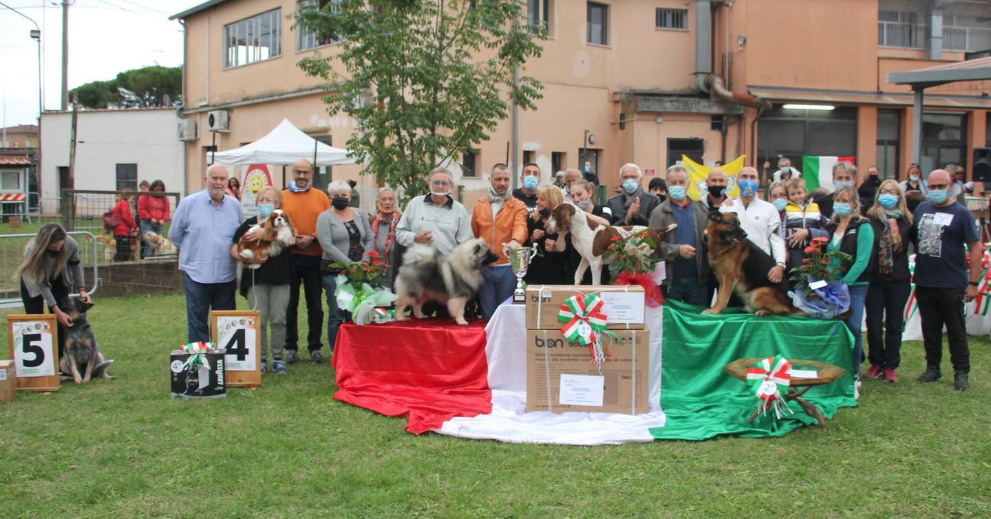 In 140 al concorso canino