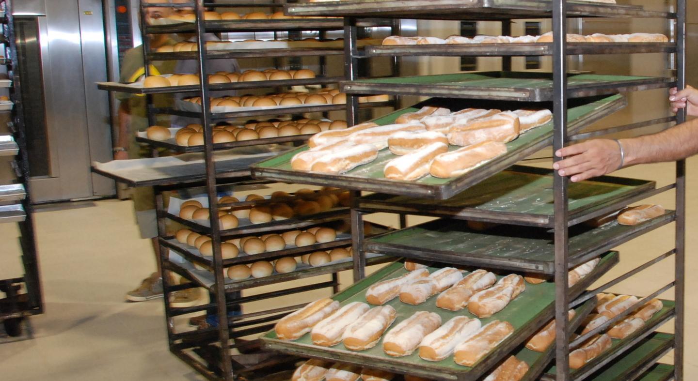 Panettiere esperti contabili bibliotecario falegname