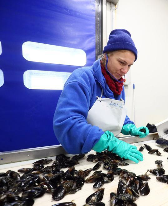 Goro. Due bandi per sostenere pesca e attività turistiche connesse 