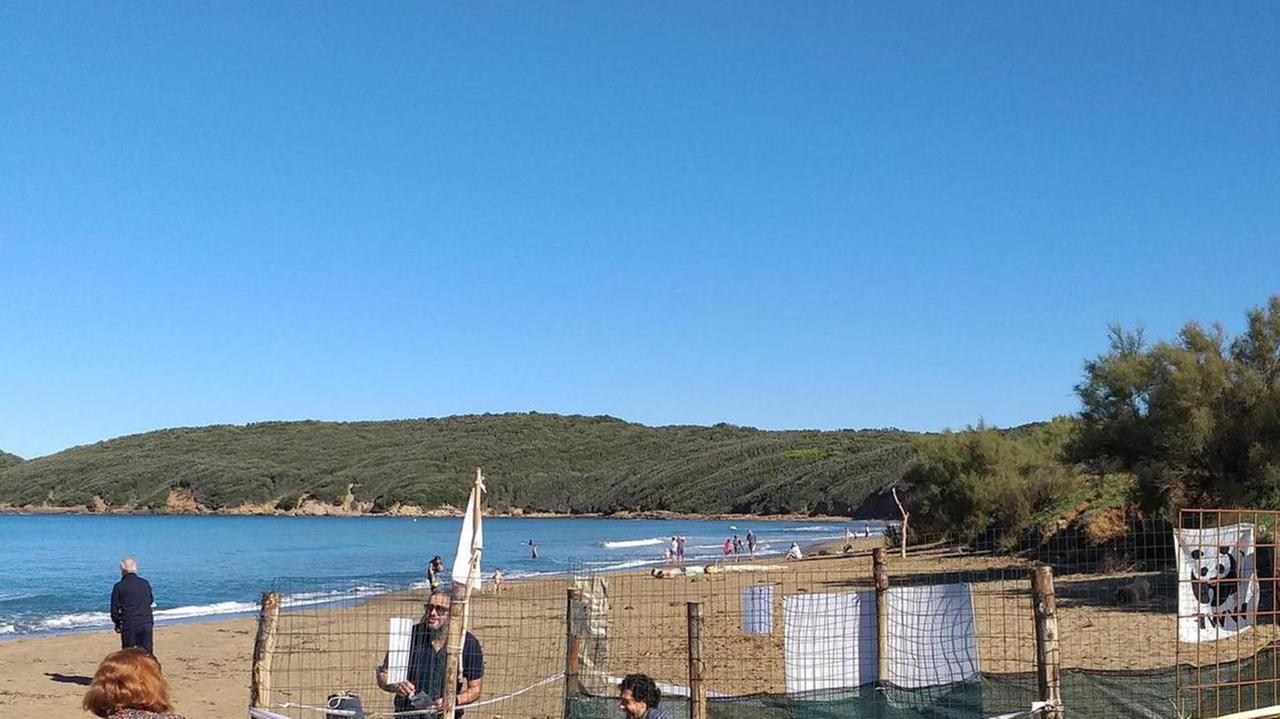 Attesa la schiusa delle uova, pronto il corridoio a Baratti