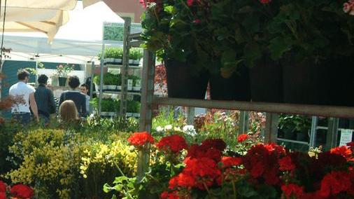 Ritorna “Di fiore in fiore” con i colori dell’autunno