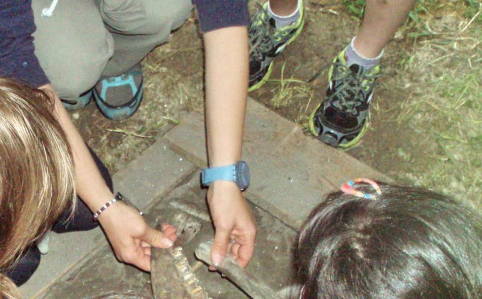 L’alimentazione al Parco Terramara