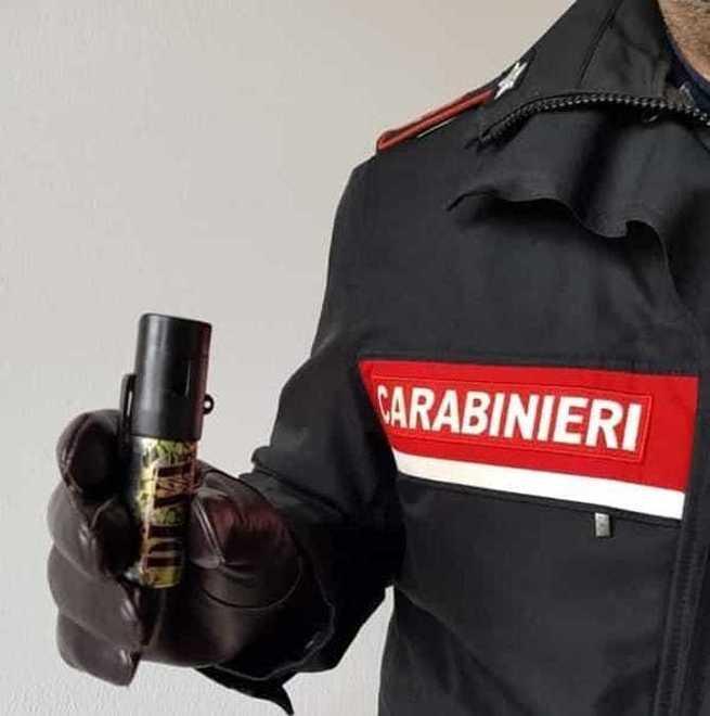 Devasta i mobili di casa e aggredisce i carabinieri Bloccato con lo spray