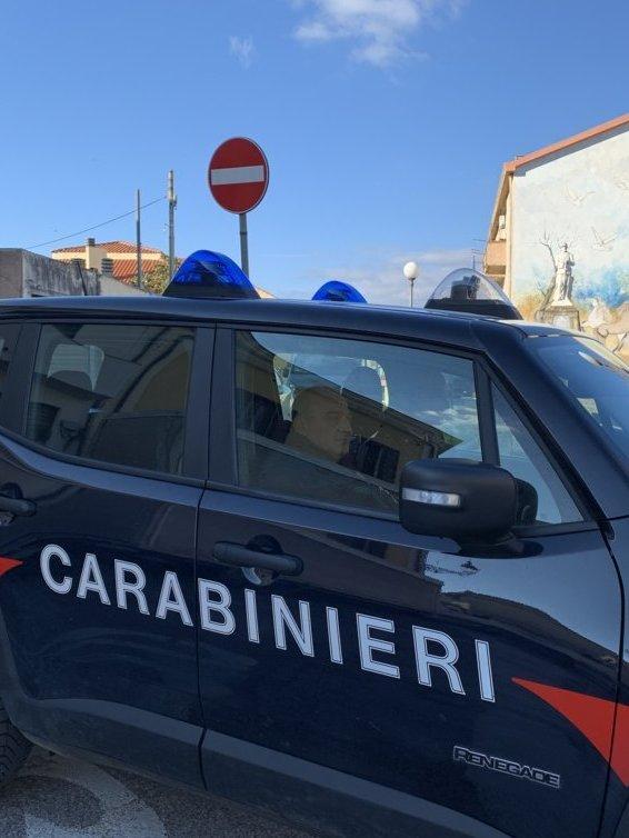 Cannabis in giardino, fratelli arrestati 