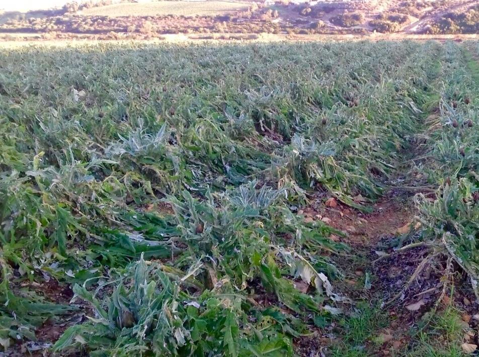 «Piogge abbondanti, è allarme» 