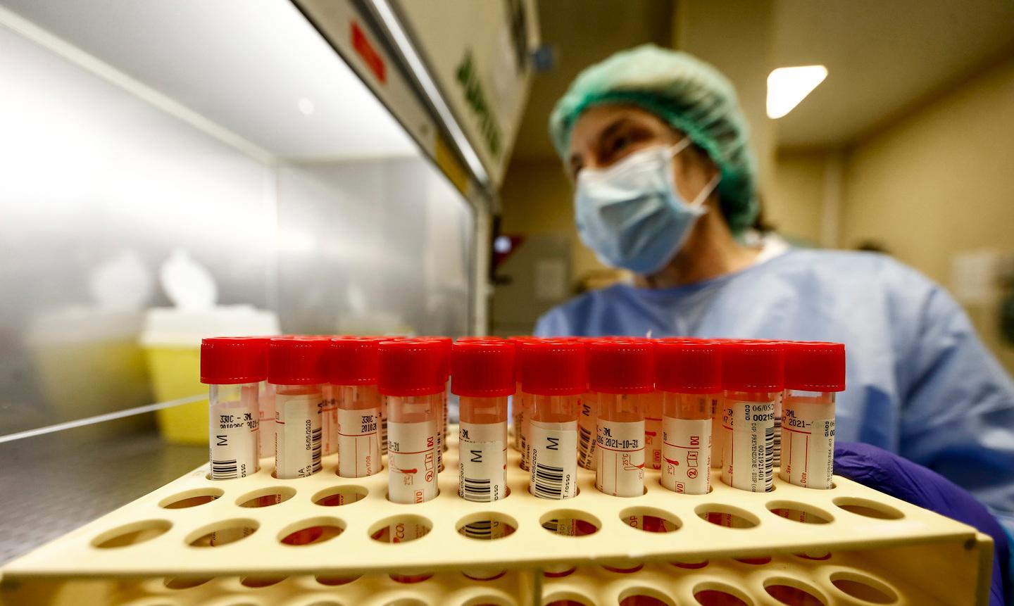 In 47 con il coronavirus è record in provincia 5 classi in quarantena