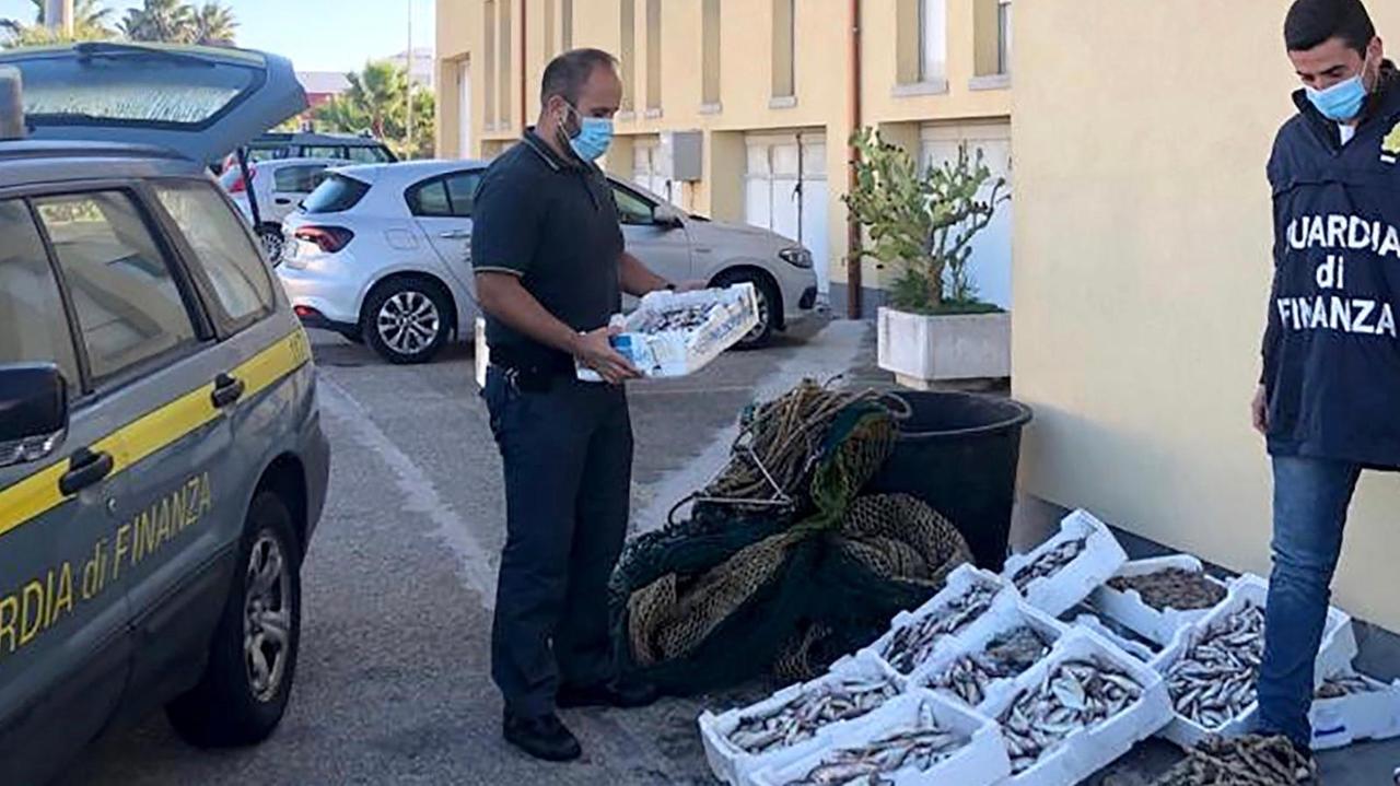 Pesca a strascico abusiva a Santa Gilla, 50 chili di pesce sequestrati