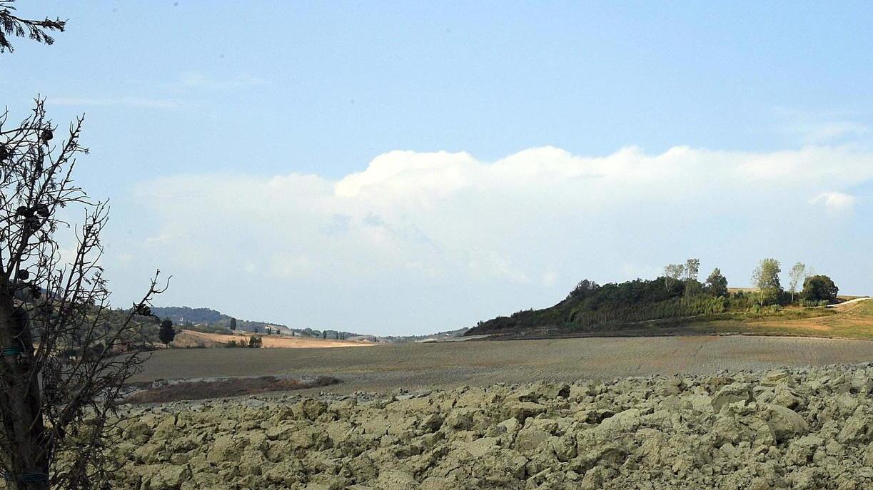Fanghi di cartiera nei campi: a giudizio imprenditori