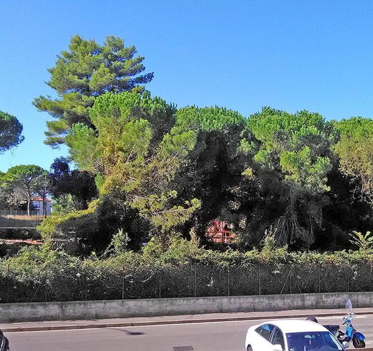 «Ascom male informata Non apriranno i negozi nell’area nuovo Conad»