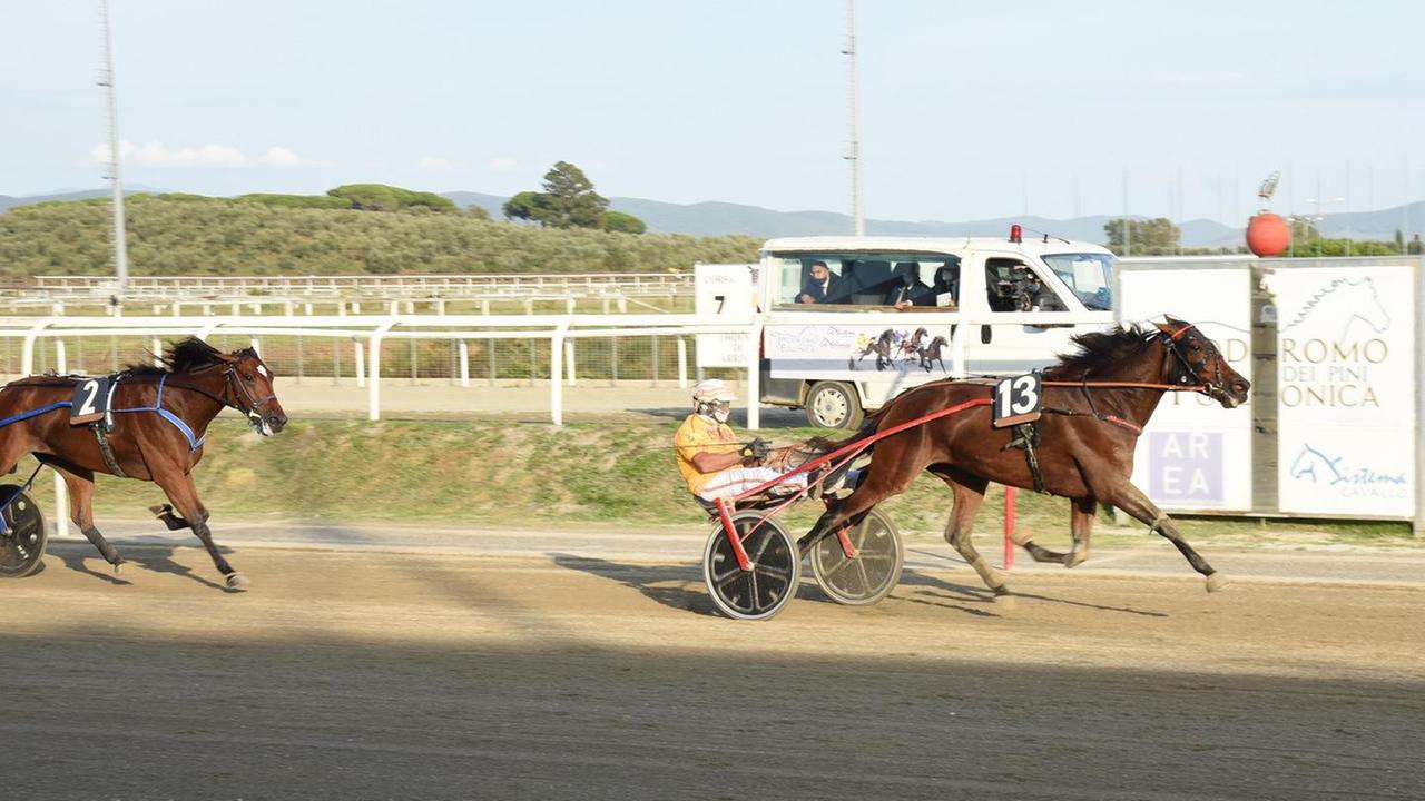 Allegra Gifont e Grand Art vincono il gran premio