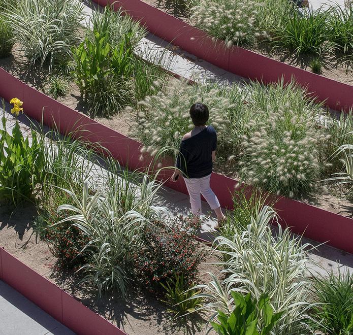 Proclamati i vincitori della prima edizione del “Premio Rigenera”