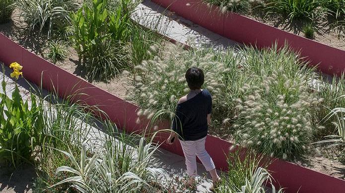 Proclamati i vincitori della prima edizione del “Premio Rigenera”