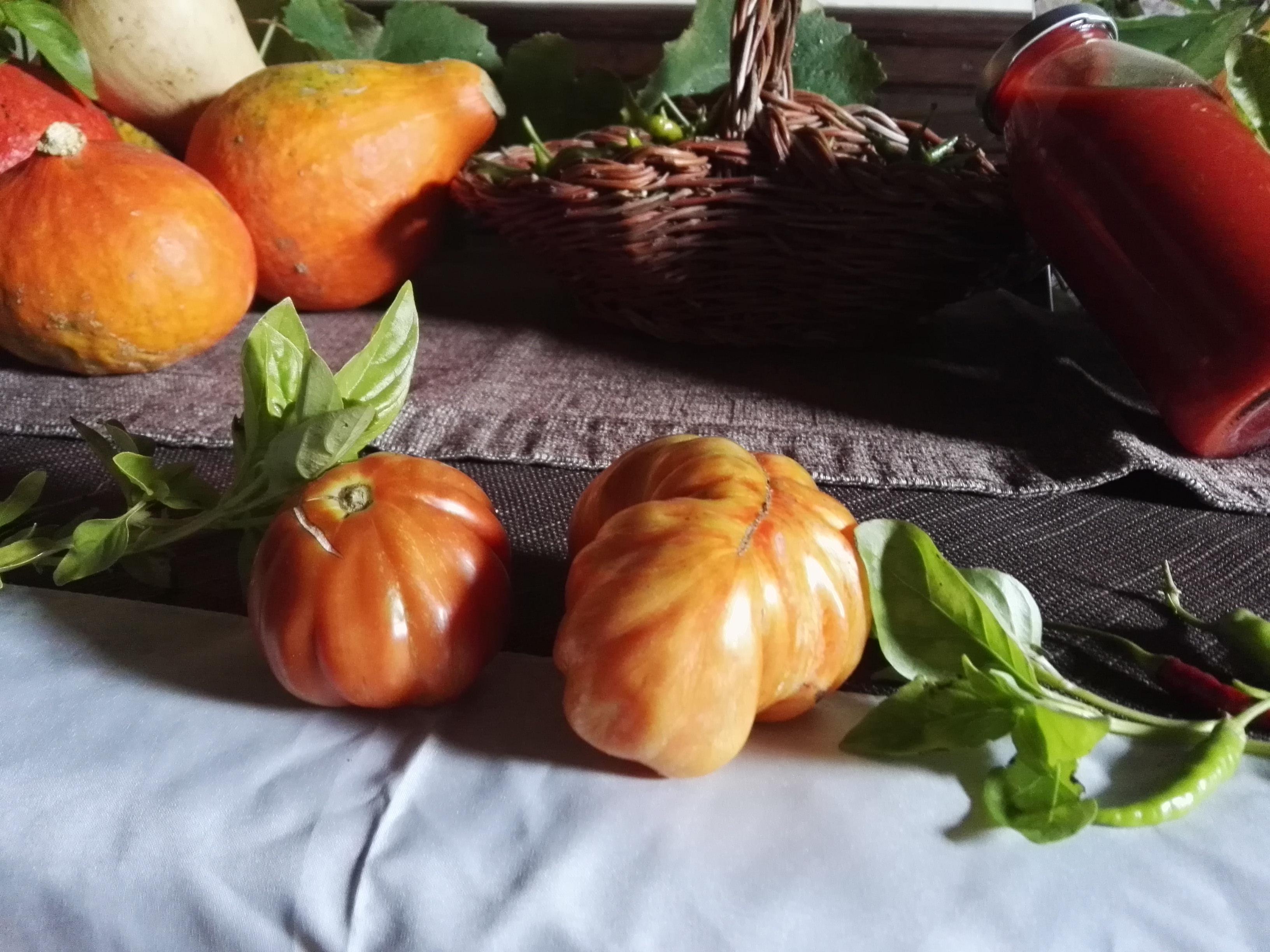 I pomodori "Borsa di montone" con relativa salsa
