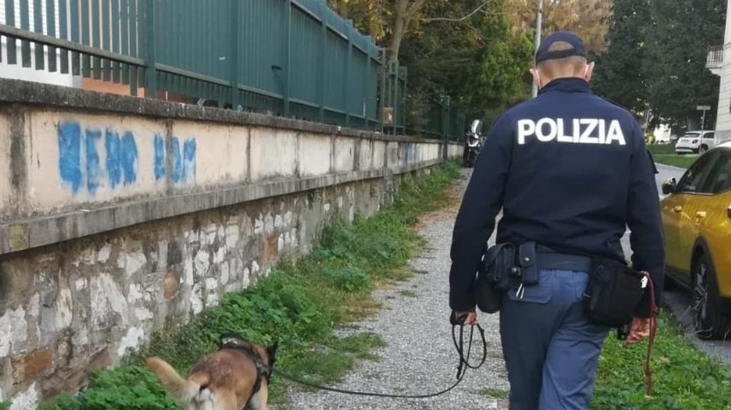Controlli antidroga in 3 scuole Soltanto un “falso allarme”