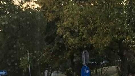 Ingressi a scuola