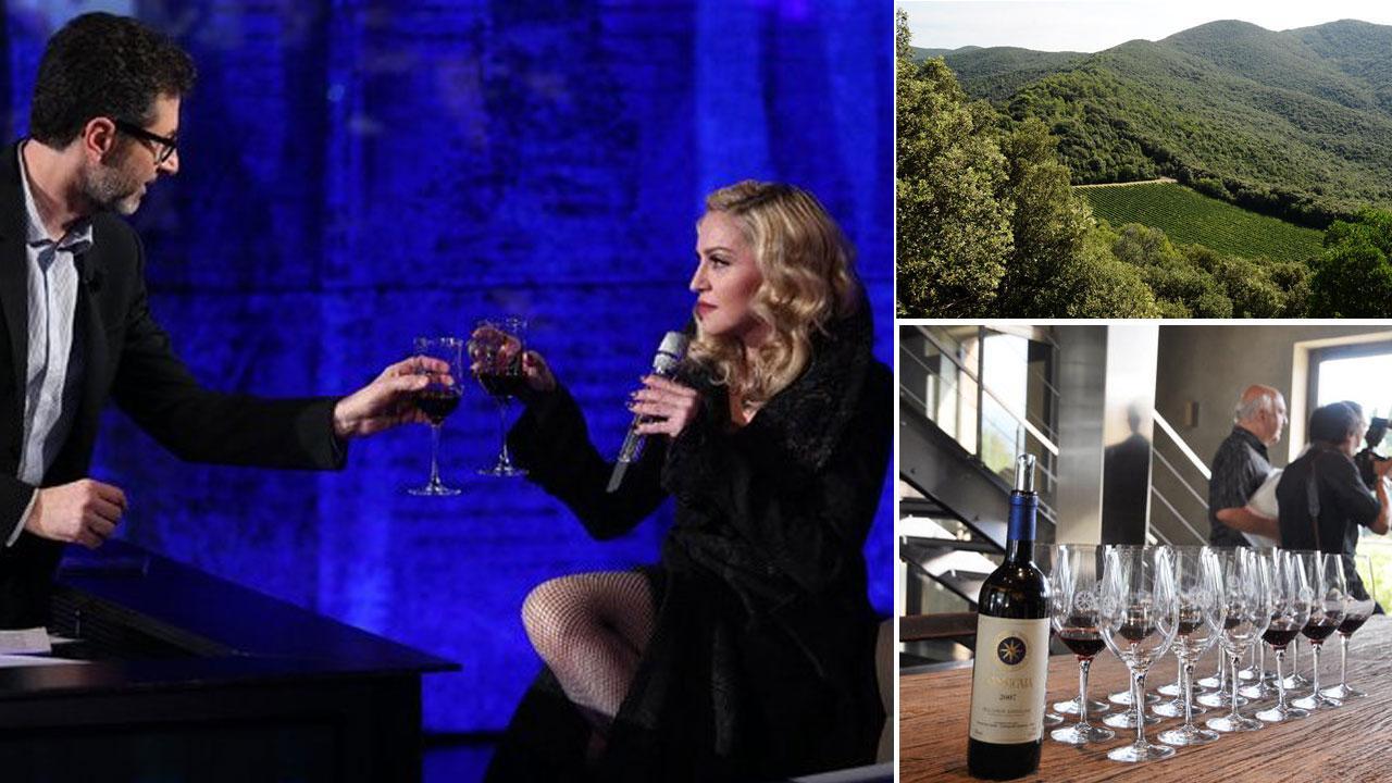 Nella foto a sinistra un'immagine di “Che tempo che fa” con Madonna che beve il Sassicaia; a destra in alto i vigneti della Tenuta San Guido e nella foto in basso una degustazione del famoso vino di Bolgheri