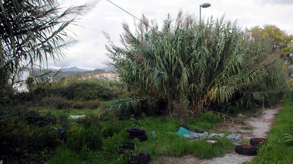 L’area della ex Farmoplant