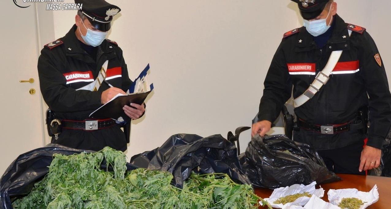 Coltiva marijuana nel cortile, arrestato un trentaseienne 