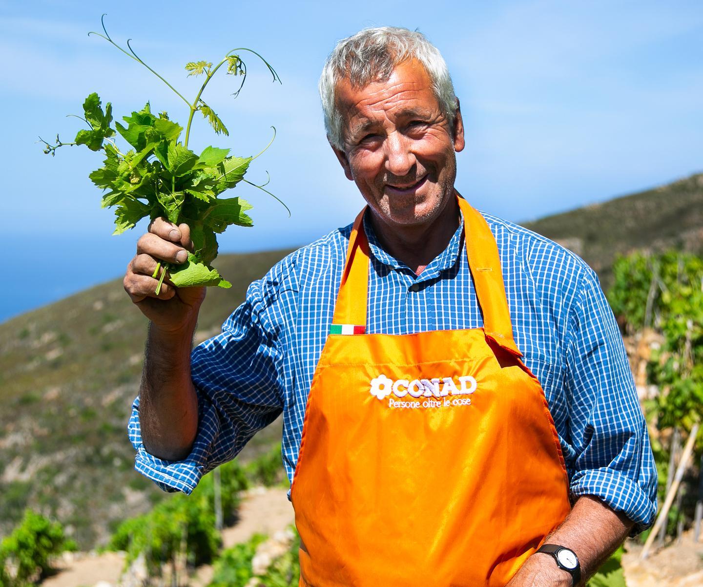 Il vino, il miele e le marmellate: Le Greppe, terrazze del piacere 
