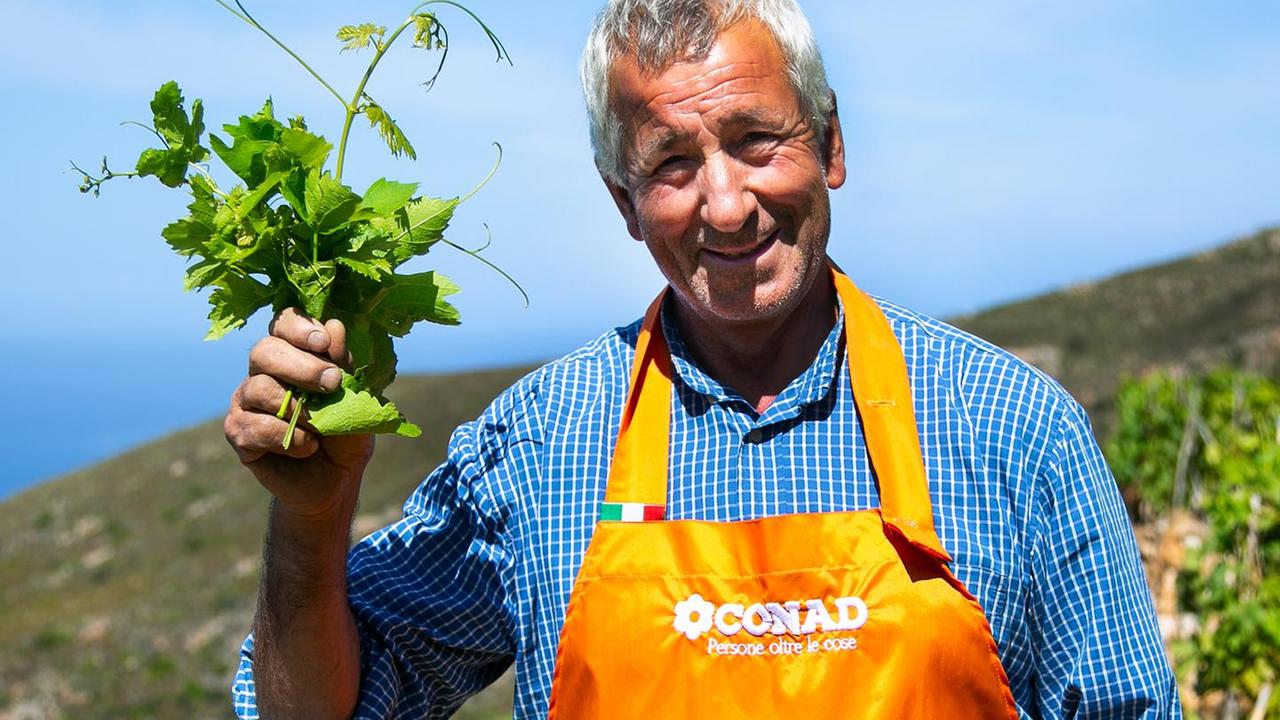 Il vino, il miele e le marmellate: Le Greppe, terrazze del piacere