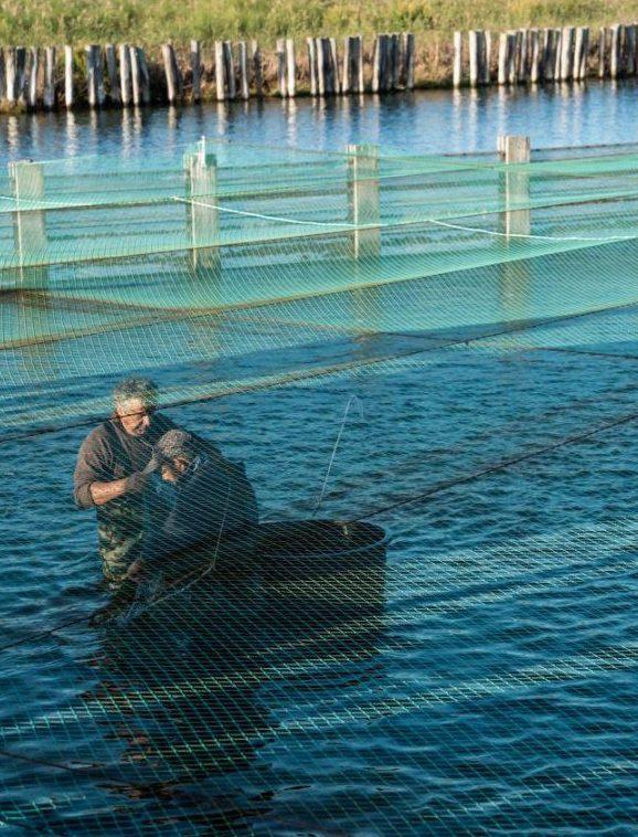 Arrubia, novità per i buongustai 