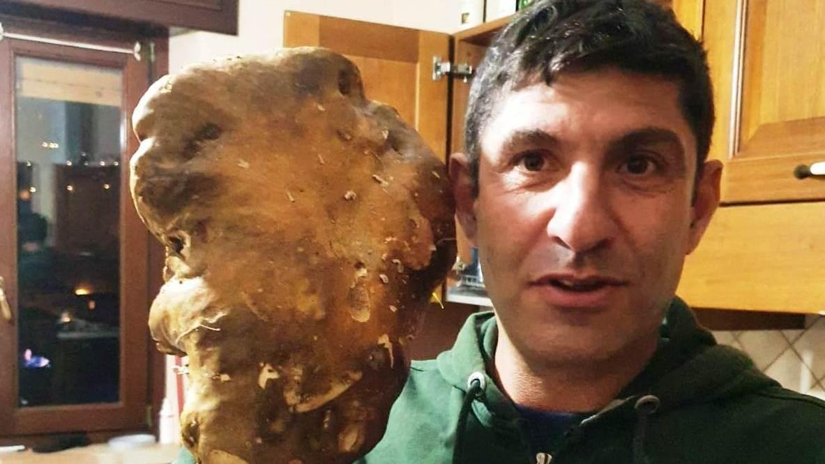 Un porcino di un chilo e mezzo