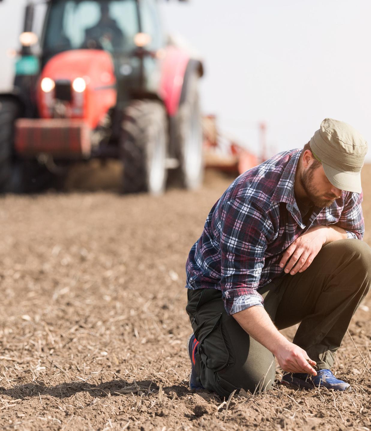 Sotto sotto... idee vincenti per il suolo