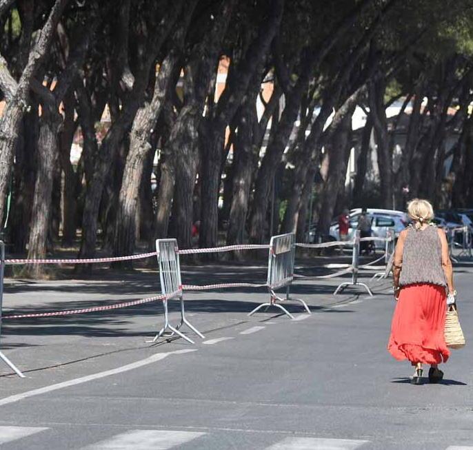 Interventi anti-radici: lavori in via Savonarola via Genova in attesa