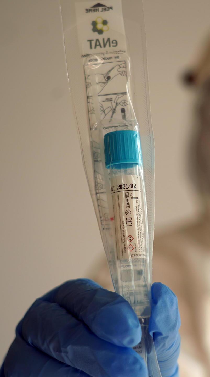 Altri 22 casi registrati nell’Empolese Valdelsa 