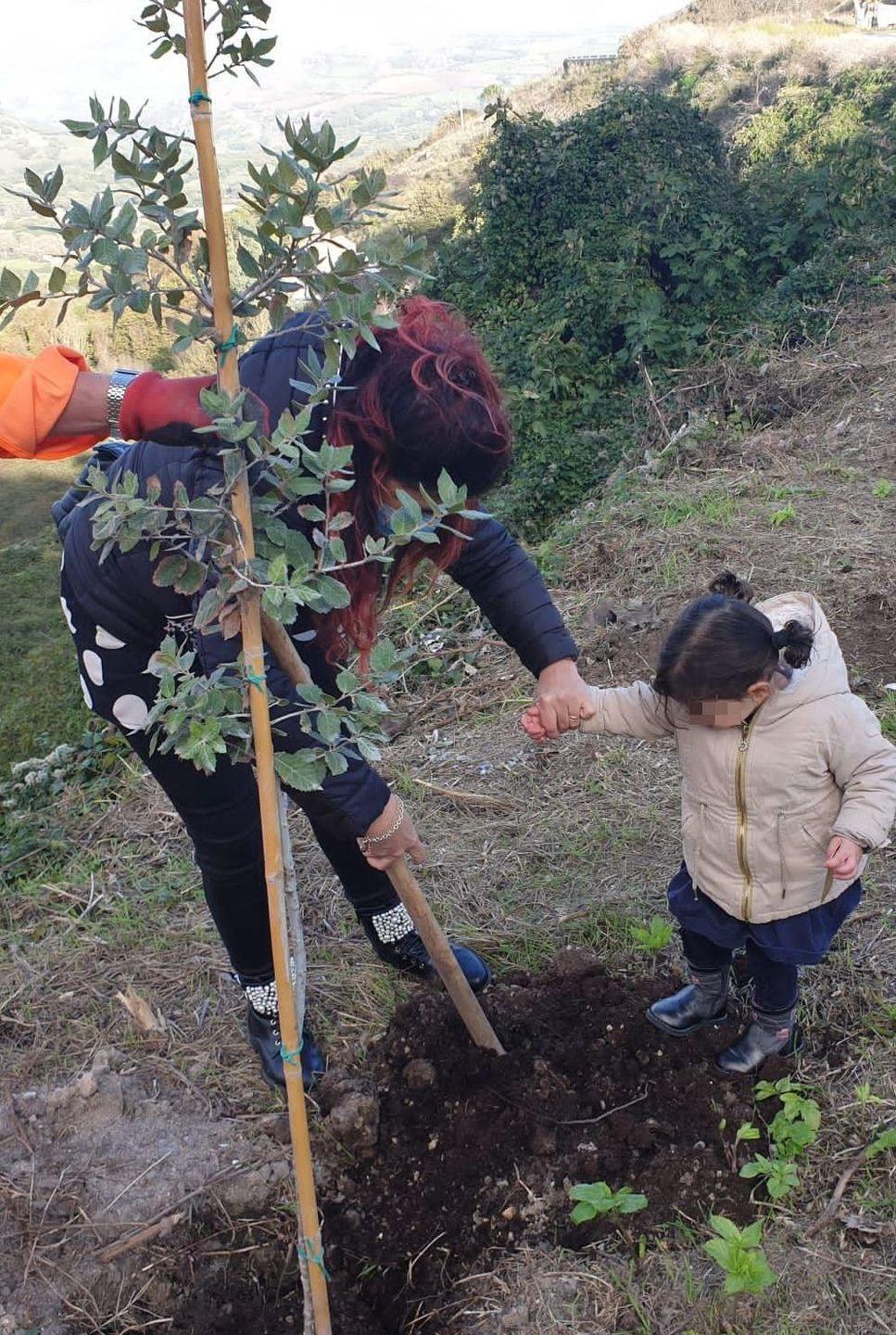 Un albero per ogni bambino battezzato nel 2019