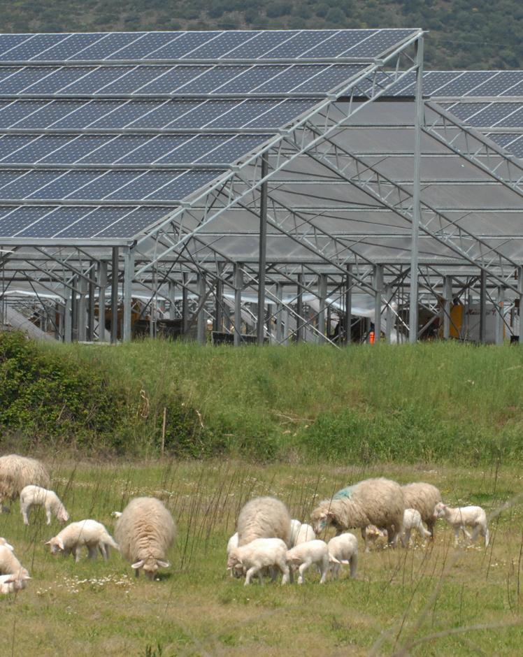 Il sole porta energia e tanti investimenti 