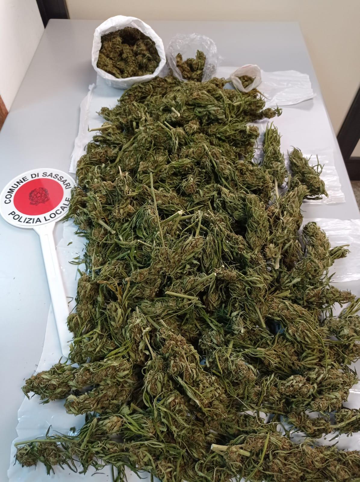 In casa un chilo di marijuana, 45enne arrestato a Sassari