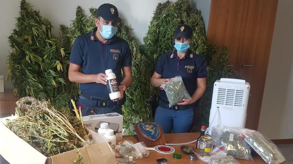 Elmas, la polizia scopre una "fabbrica" di marijuana: sequestrati 24 chili