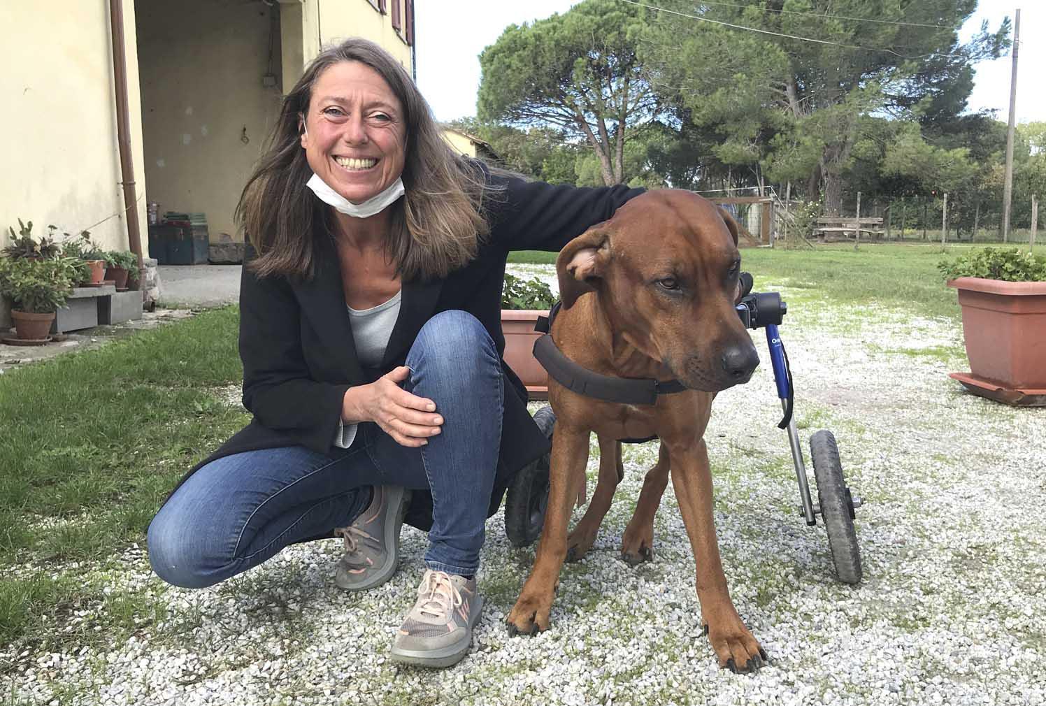 La missione di Sabine: apre un rifugio per strappare gli animali all’eutanasia