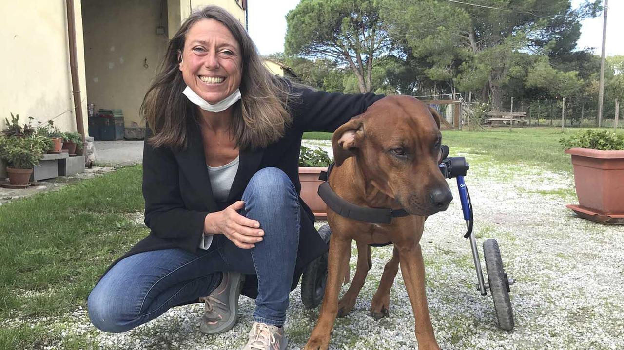 La missione di Sabine: apre un rifugio per strappare gli animali all’eutanasia
