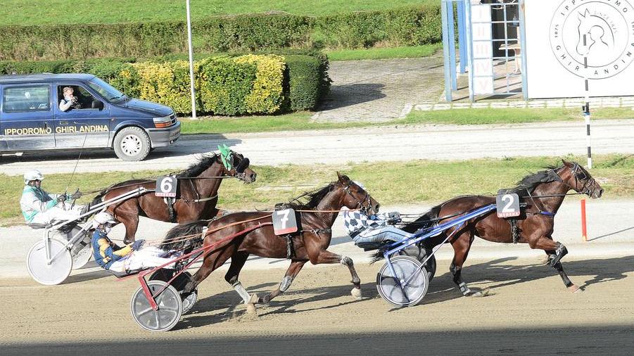 Charming Col Key puntuale nel Premio Montecreto Vince anche Bemon Chuc