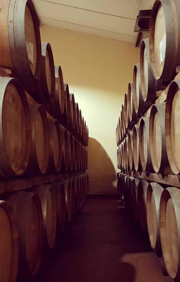 Un premio per l’Antico Gregori 