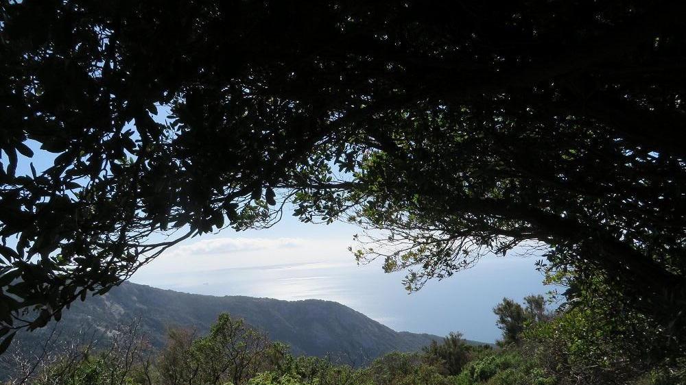 Paesaggio e visionari, una mostra fotografica nei locali della Collegiata