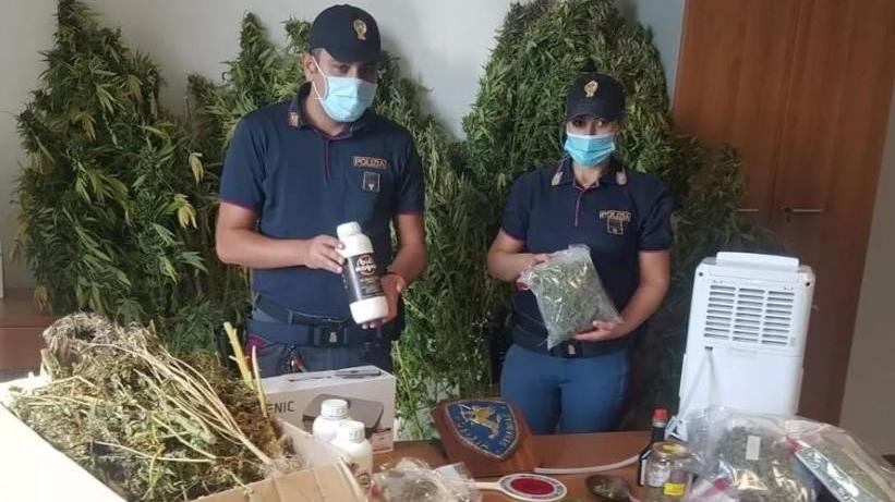 Marijuana dentro casa sequestrati 24 chili