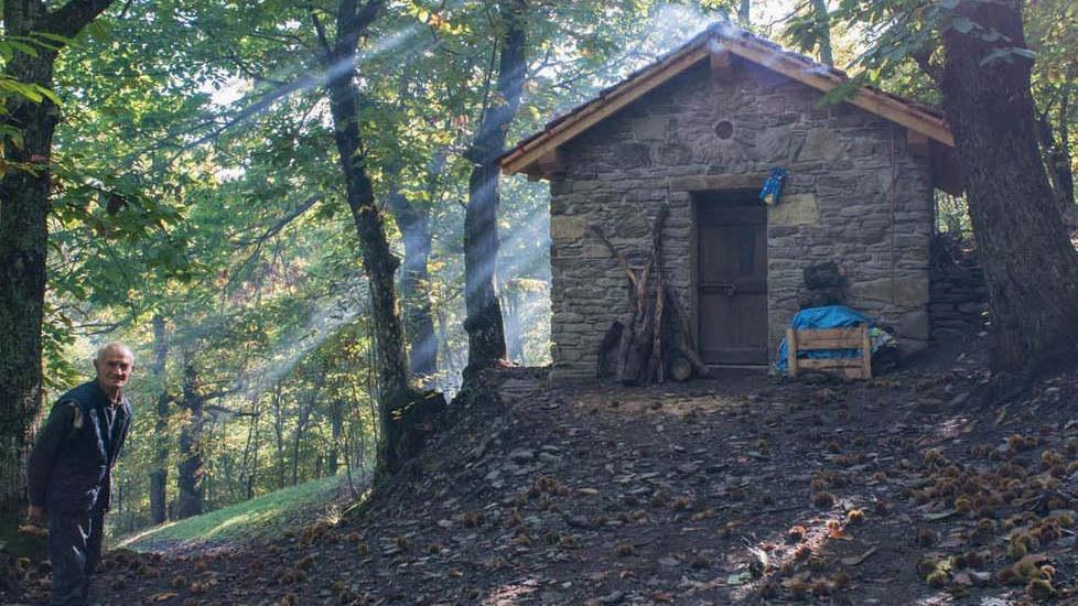 Il metato di Montemiscoso torna in funzione dopo 60 anni