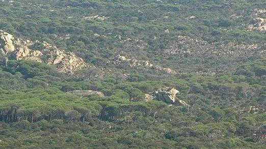 La lista Lai e il Parco, Manca porta il caso davanti al ministro